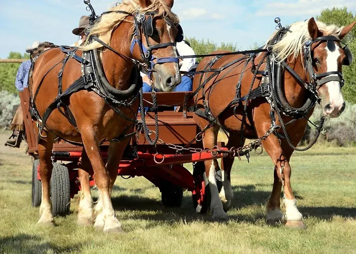 Family On Beautiful Ranch Near Yellowstone National Park, Wyoming *