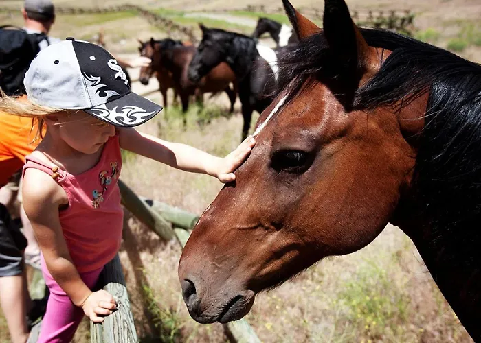 Family On Beautiful Ranch Near Yellowstone National Park, Wyoming Holiday home Wapiti